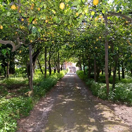 Casa Melo سورينتو